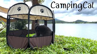 [ พิมพ์ภาภัทรฟาร์ม ] 🏕 พาแมวกางเต็นท์ | ระยอง | CampingCat