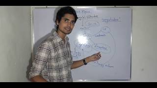 lec:2 (hindi) single and polycristal, anisotropic and isotropic solid state physics