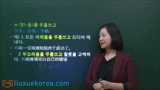 ★韩语学习 Learn Korean★  第57讲  -(으)로 하여금， -을/를 무릅쓰고 练习,   -(으)로 하여금， -을/를 무릅쓰고 연습문제 풀이