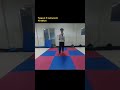 taegeuk 3 taekwondo