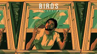 J Cole Type Beat | BIRDS