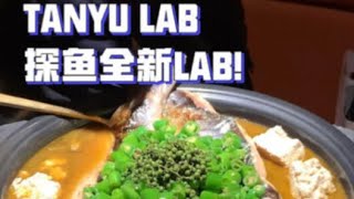 TANYU LAB 探鱼全新LAB