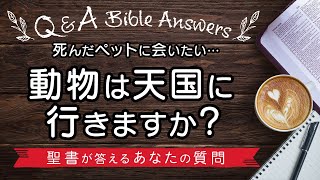 【Q&A】死んだペットに会いたい…動物は天国に行きますか？〈聖書が答えるあなたの質問〉