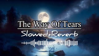 Relaxing Nasheed - The way of the Tears - Muhammad Al-Muqit [slowed+reverb ||