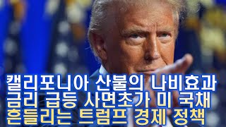 금리 급등 사면초가 미 국채 시장 부담 속 캘리포니아 산불의 나비효과, 흔들리는 트럼프 경제 정책