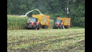 Volkerink Heino in de eerste mais 2017 met de claas jaguar 850