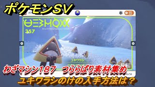 ポケモンＳＶ　わざマシン１８７　つららばり素材集め　ユキワラシのけの入手方法は？　＃２５６　【DLCゼロの秘宝　碧の仮面・藍の円盤】