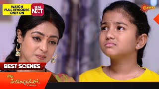 Ala Venkatapuramlo - Best Scenes | 23 Dec 2023 | Gemini TV | Telugu Serial