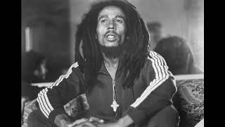 bob marley and the wailers One Drop instrumental inedit 1