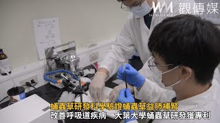 蛹蟲草研發科學驗證蛹蟲草益肺補腎、改善呼吸道發炎