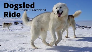 Dogsledding With The BEST Dogsled Team I Sisimiut, Greenland