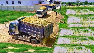 Perfectly New Project! Showing Machine Bulldozer D53P Pushing Soil,Truck Filling land Delete Field