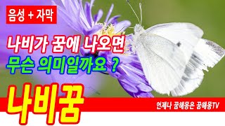 나비 꿈해몽, 나비꿈, 나비 태몽 꿈, 나비잡는꿈, 나비에게 물리는 꿈, 나비가 집에 들어오는 꿈, 나비 행운 꿈, 나비 청혼꿈, 나비떼 꿈, 나비 애벌레 꿈, 예언, 예지몽