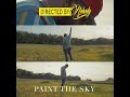 Br Jerry- Paint The Sky (Official Video)