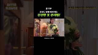 초보도 쉽게 따라 하는 신선한 꽃 관리법! (꽃집 사장님 추천) #쇼츠 #shorts #florist #flower