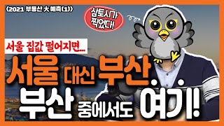 서울 다음 투자처는 부산! 그중에서도 해운대 등 6개 구를 주목하라 / 2021 부동산 대예측(1) / 부동산 은둔고수 '삼토시' 3