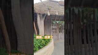 想家、想媽媽 #love #shortvideo #views_viral_video_subscribers_grow