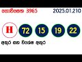 govisetha 3965 2025.01.21 today nlb lottery result අද ගොවිසෙත දිනුම් ප්‍රතිඵල lotherai dinum anka