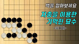 바둑 묘수 사활 - 자충을 이용한 기막힌 묘수를 찾아보세요