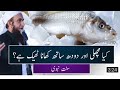 Moulana Tariq Jameel bayan.....kya machli aur dudh aak saat khana chahiye.....?