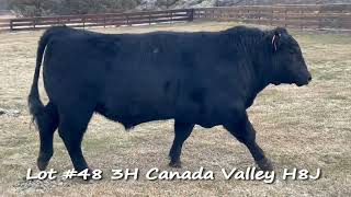 Lot #48 3H Canada Valley H8J