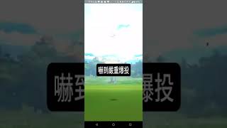 #pokemonGo 捕捉 #散步小薰香：#伽勒爾火焰鳥 登場！