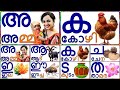 മലയാളം സ്വരാക്ഷരങ്ങളും വ്യഞ്ജനാക്ഷരങ്ങളും/Malayalam vowels and consonants