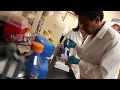 Zika Virus Research Projects