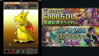 【パズドラ】ランク250メモリアルガチャを引いてみた！