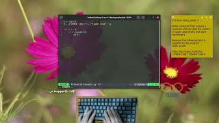 Learning Python Fast and Simple - Challenge 14 | ASMR Programming