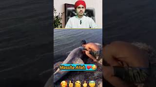 Isko dekhe ke jarur like kare 🥰🫶😘#shortsfeed​ #shorts​ #viralvideos​ #allah​ #fishing #youtubeshorts