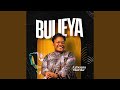 Bulieya