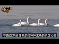 中国在沙漠建亚洲最大水库，美国隔空喊话赶紧停手，美专家称：再挖就要出大事！不料随后一幕彻底轰动全球