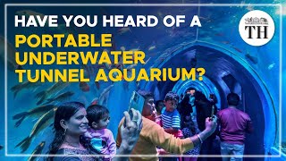 Have you heard of a portable underwater tunnel aquarium? | The Hindu