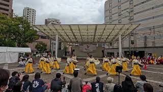 山口県立大学　よさこい部奄美連合萩組　よさこい佐世保祭り2024年島瀬会場