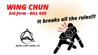 Wing Chun: Bil Gee Form breaks all the rules - Kung Fu Report #221
