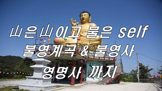 산은 산이고 물은 쉘프 \u0026 불영사 불영계곡  영명사를 둘러 봅니다