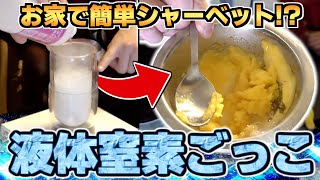 【誤家庭クッキング】液体窒素ゴッコ？で簡単シャーベット作り！