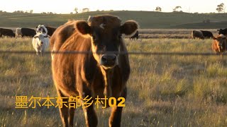 【澳洲旅行] 澳大利亚墨尔本东部乡村驾车游 02 - 马来点