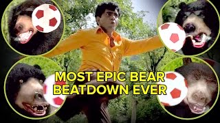 Most Epic Bear Beatdown Ever | Dear vs Bear