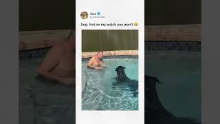 Dog: Not on my watch you won