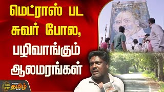 மெட்ராஸ் பட சுவர் போல, பழிவாங்கும் ஆலமரங்கள் | Puducherry | banyan Tree | NewsTamil24x7