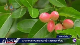 เกษตรทำเงิน : สวนเกษตรแหวกแนวของข้าราชการเกษียณ