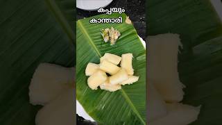 ചൂട് കപ്പയും കാന്താരി 🫰🏼 #shorts #youtubeshorts #shortsfeed #food #kappa #kanthari #kerala #easy