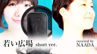 【歌詞あり】若い広場 桑田佳祐 ひよっこ ショートVer. カバー/NAADA