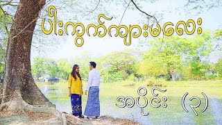 ပါးကွက်ကျားမလေး အပိုင်း (၃) / ဇာတ်လမ်းတွဲ