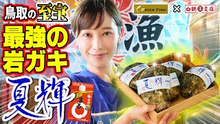 【天然岩ガキ 夏輝】鳥取の宝石は超特大の海のミルク！口の中に日本海が広がります！【魚屋の森さん】