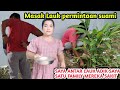 Beginilah Tingkah Suami Saya Jika Saya Masak Lauk Sesuai Permintaanya