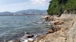 愛知・竹島「八百富神社」は宝物と自然溢れるパワーが集まる神秘域│トラベルjp