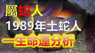 2024生肖運勢，十二生肖1989年出生的屬蛇人，一生的命運，蛇是十二生肖中最頑強的屬相，1989年出世的屬蛇的人，常會感到自己常常遭到侵害，也常有懷疑心，而且有時對身邊親密的人報復心很強